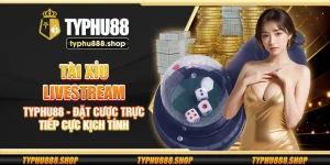 Tài xỉu livestream Typhu88 - Đặt cược trực tiếp cực kịch tính