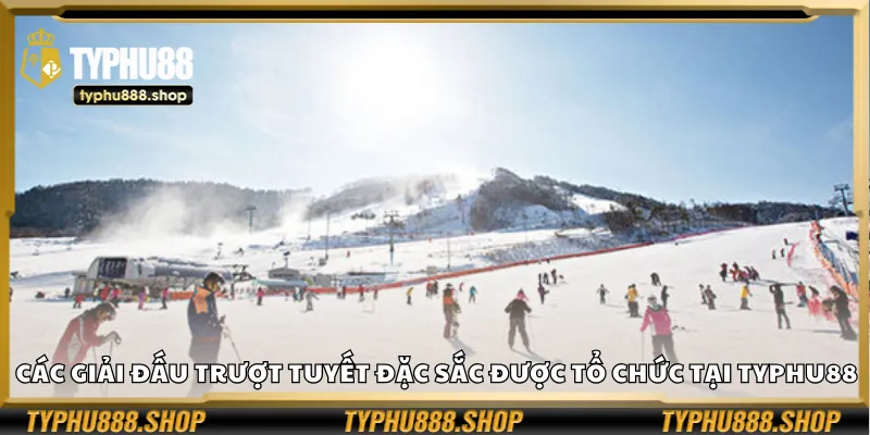Các giải đấu trượt tuyết đặc sắc được tổ chức tại Typhu88