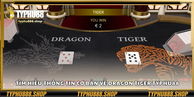 Tìm hiểu thông tin cơ bản về Dragon Tiger Typhu88