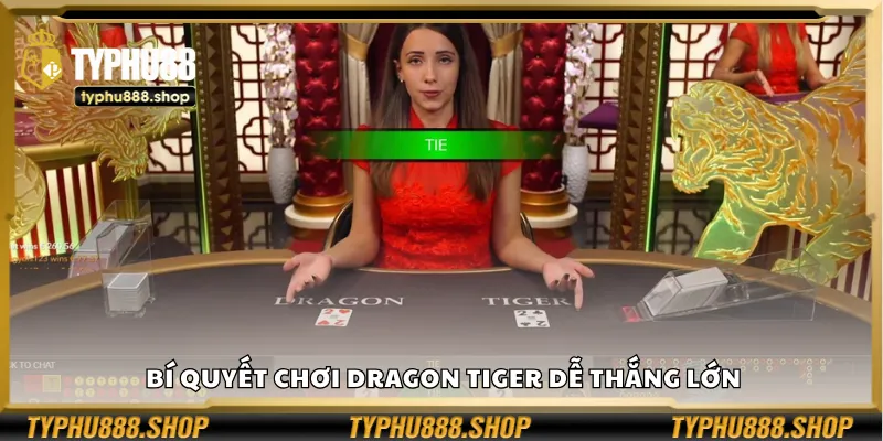 Bí quyết chơi Dragon Tiger giúp bạn dễ thắng lớn