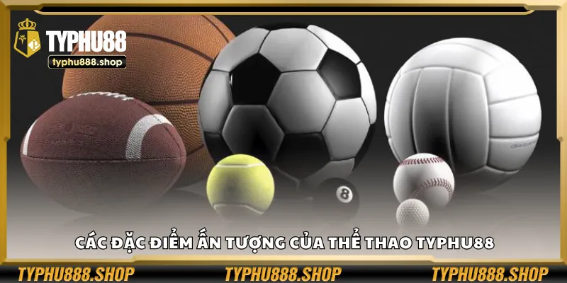 Các đặc điểm ấn tượng của thể thao Typhu88