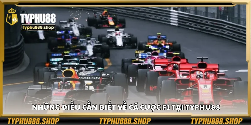 Những điều cần biết về cá cược F1 tại Typhu88
