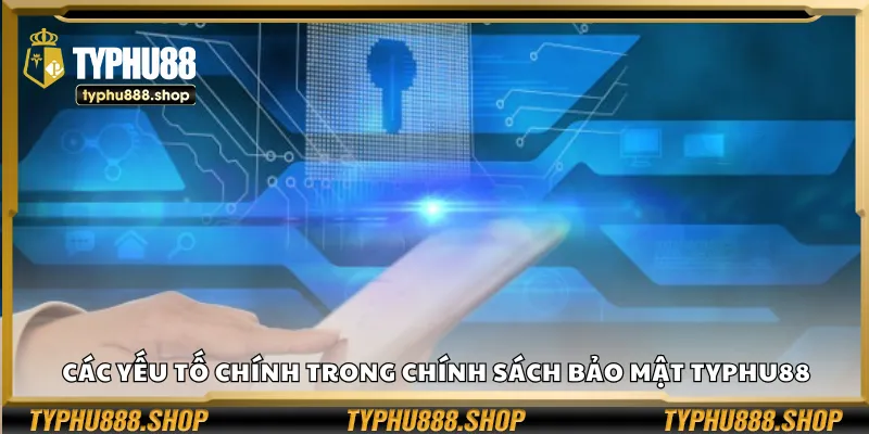 Các yếu tố chính trong chính sách bảo mật Typhu88