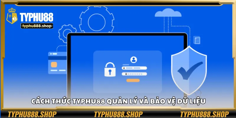 Cách thức Typhu88 quản lý và bảo vệ dữ liệu