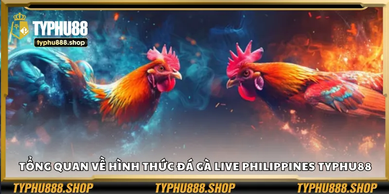 Tổng quan về hình thức đá gà live Philippines Typhu88