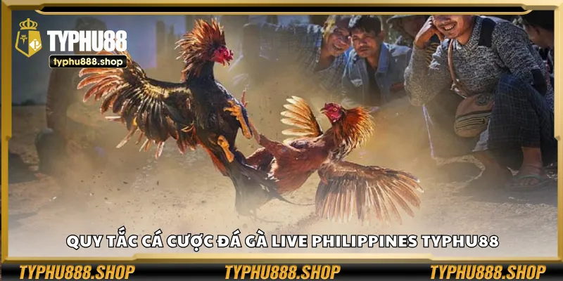 Quy tắc cá cược đá gà live Philippines Typhu88