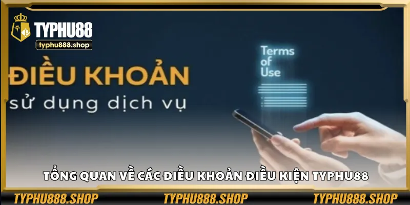 Tổng quan về các điều khoản điều kiện Typhu88