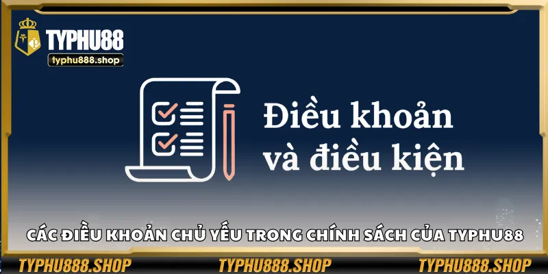 Các điều khoản chủ yếu trong chính sách của Typhu88